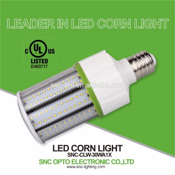 Bereifte Abdeckung IP64 LED Mais Lampe 30W mit E26 / E39 Lampensockel